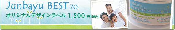 ����W.F.���n��BEST 70 �I���W�i���f�U�C�����x���@1500�~�i�ō��j