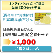 �I�����C���V���b�v���聃200�Z�b�g���聄�y�g�їp�~�j�n���Q�t���z�������n���΂���