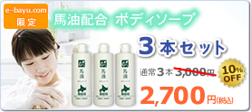 �n������{�f�B�\�[�v �R�{�Z�b�g 2,700�~(�ō�)