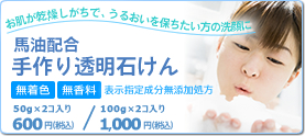 ��l�C�I�y�n���z�� ���蓧���΂���z100g�~2�R���@1,000�~�^50g�~2�R����@600�~